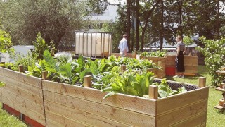 Urban Gardening auf dem badenova Betriebsgelände